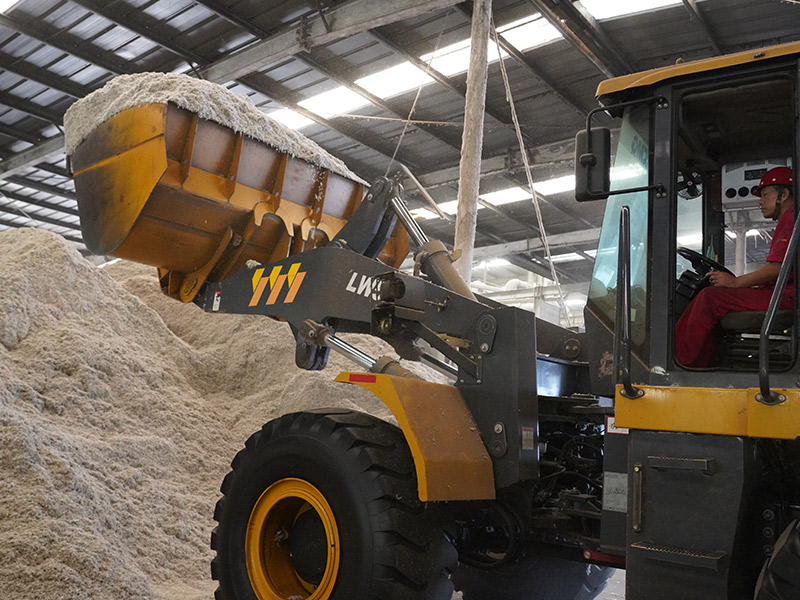 Mechanized feeding