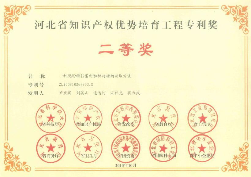 Second Prize of Hebei Province Intellectual Property Advantage Cultivation Project Patent