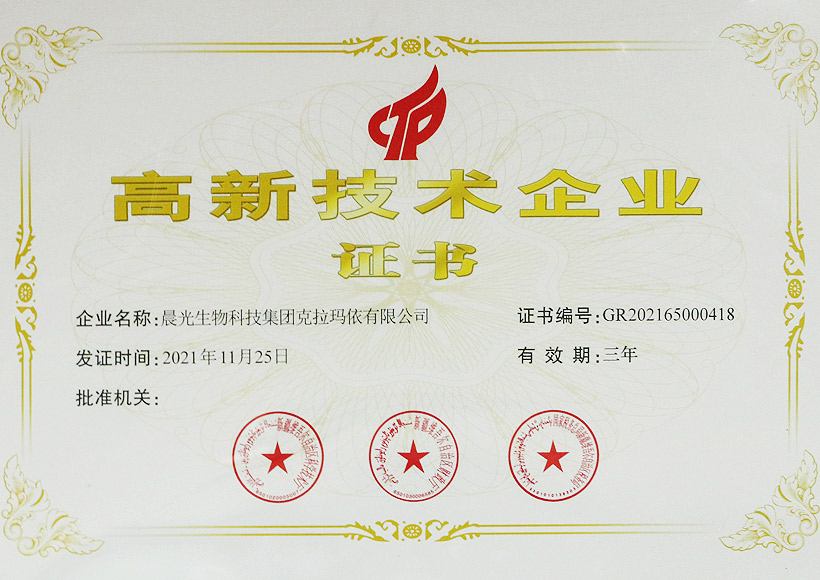 High Enterprise Certificate of Karamay Company (2021)