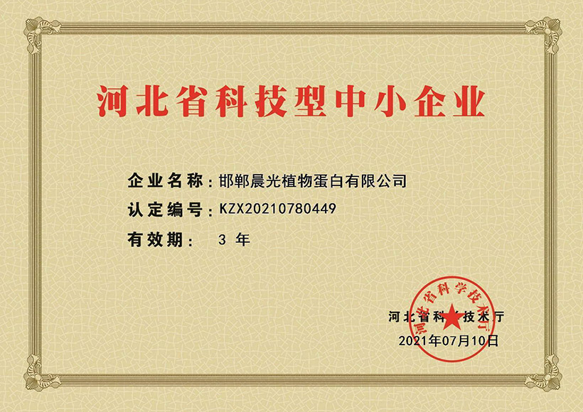 Hebei Province Science and Technology Small and Medium Enterprise Certificate (2021)