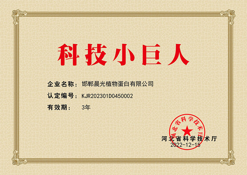 Hebei Province Science and Technology Little Giant