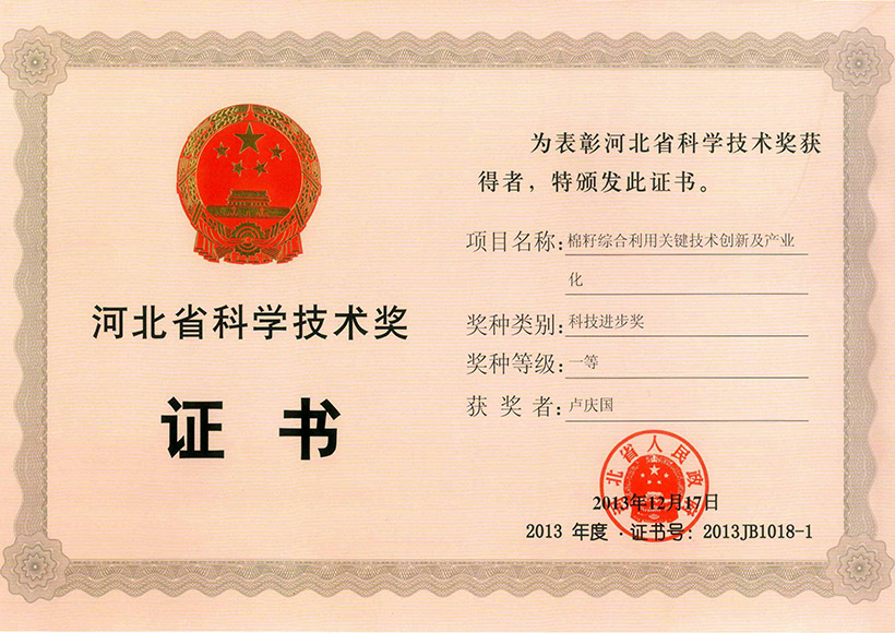 First Prize of Hebei Provincial Science and Technology Progress Award in 2013