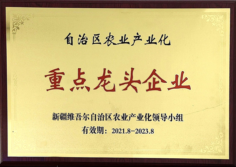 Leading Enterprise in Agricultural Industrialization in Xinjiang Autonomous Region
