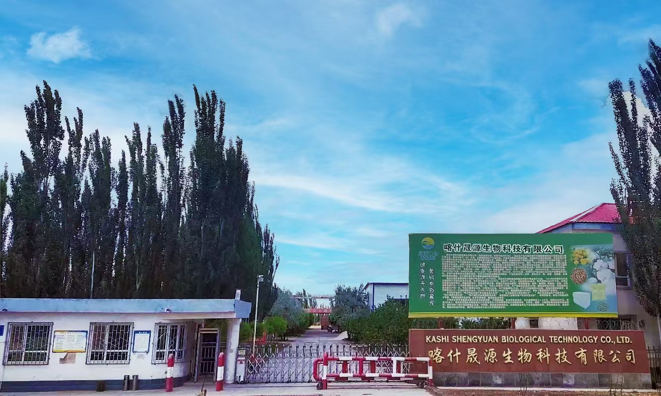 喀什晟源公司